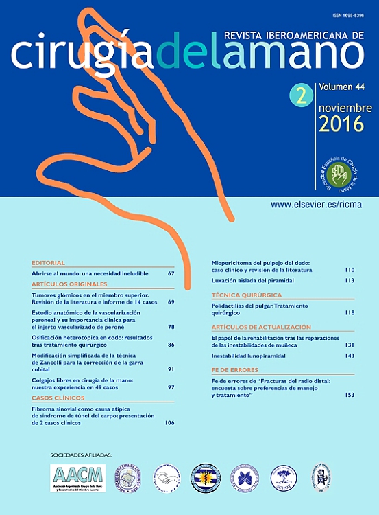 Go to journal home page - Revista Iberoamericana de Cirugía de la Mano